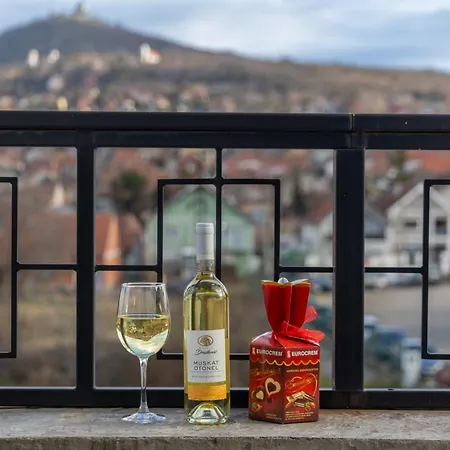 Helvecija 1880 Hotell